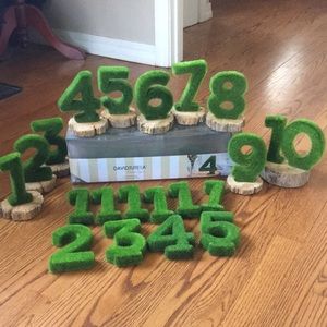 David Tutera Green Foam Wedding Table Numbers